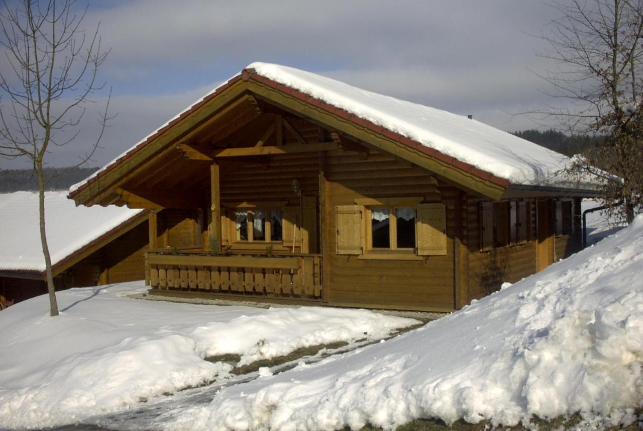 Ferienhaus Bayern Vila Stamsried Exterior foto