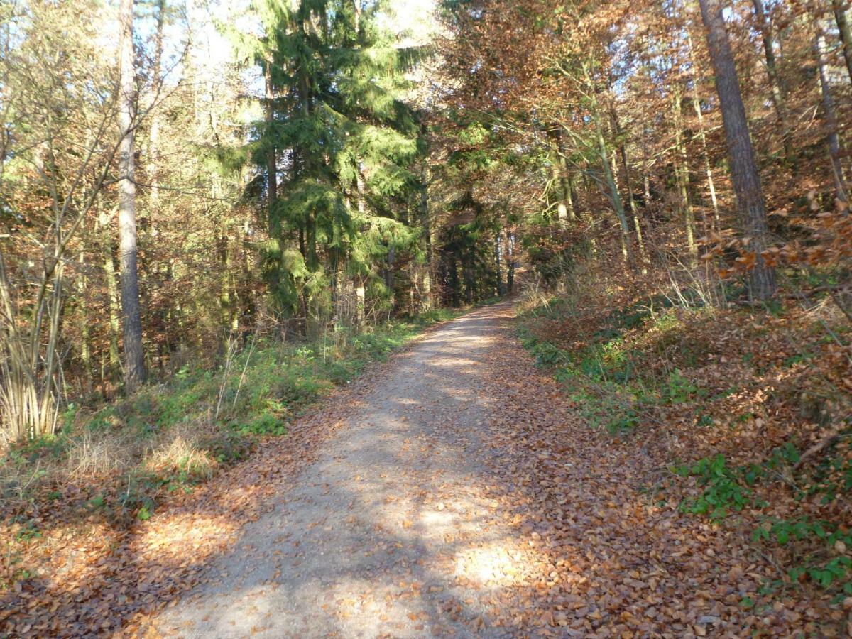 Ferienhaus Bayern Vila Stamsried Exterior foto